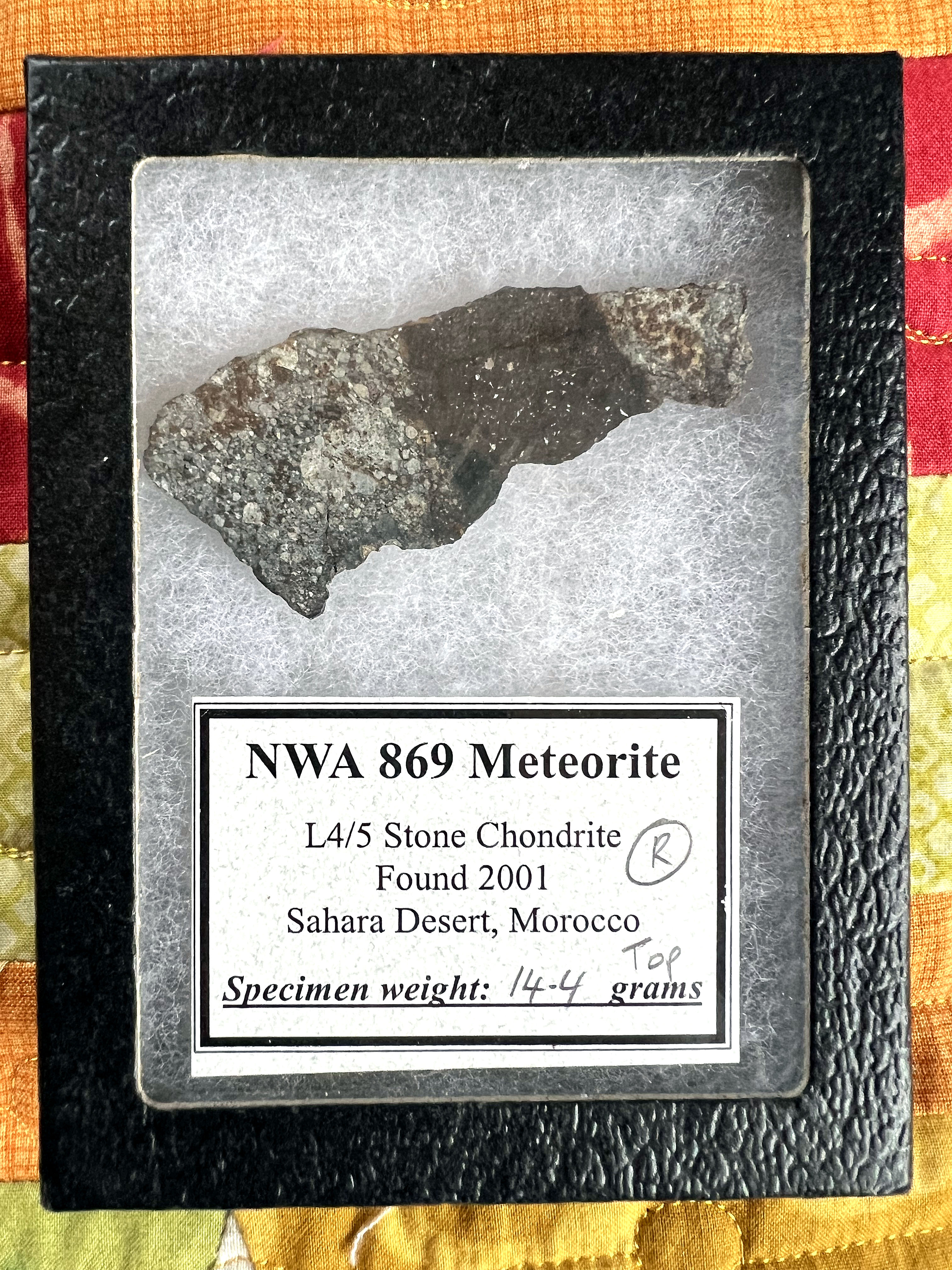 Second place raffle prize Meteorite