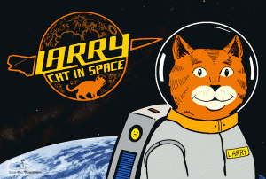 Larry Cat in Space