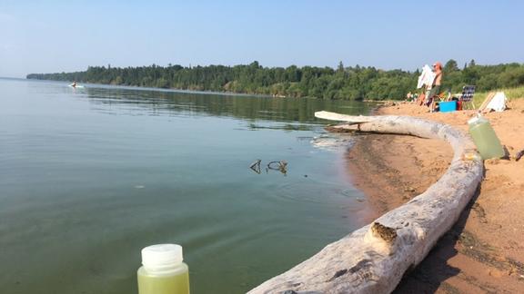 Algae Bloom on Lake Superior