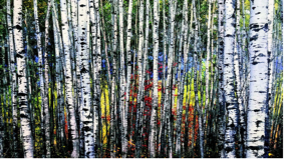 photo of birch tree painting