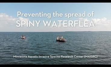 Preventing the spread of spiny waterflea