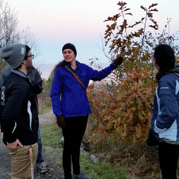 Students looking at leaves