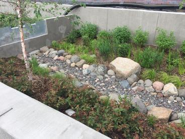 HCAMS Stormwater Collection