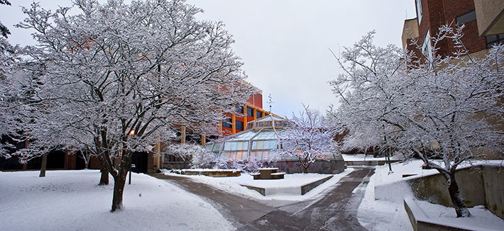 UMD Campus in Winter