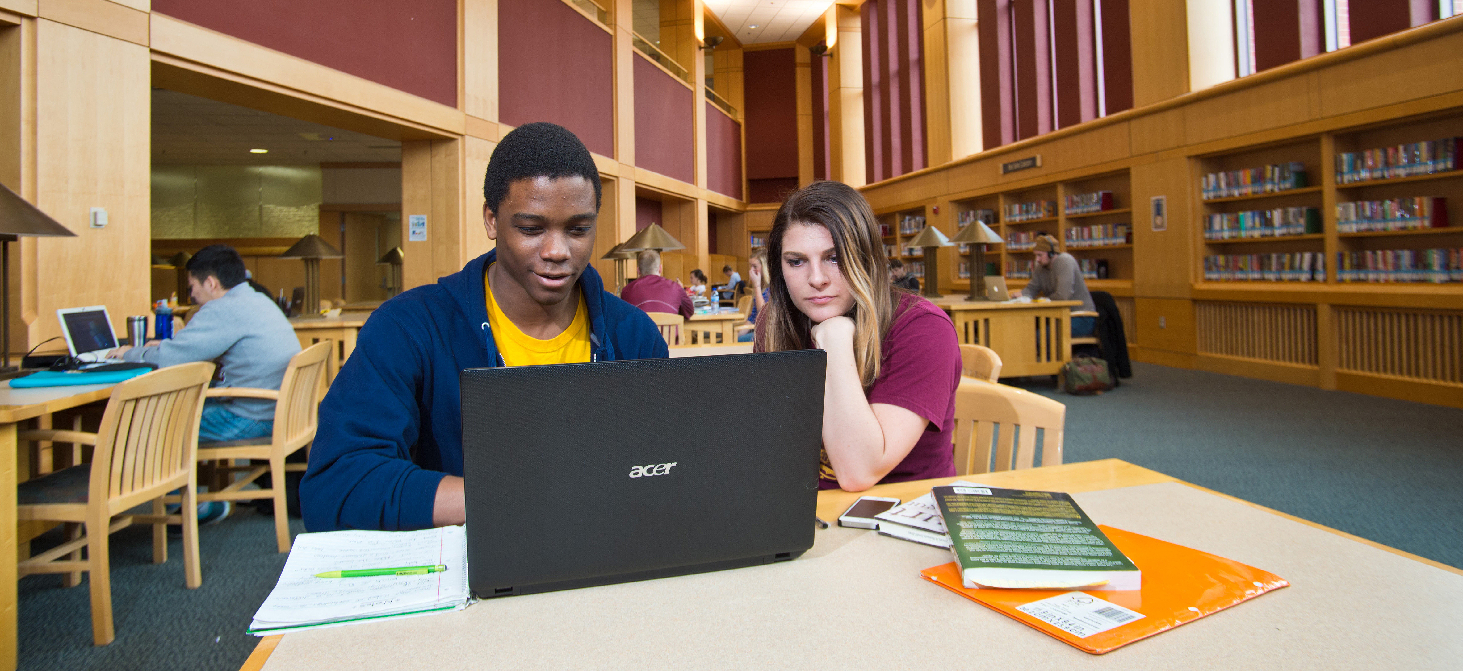 Students Looking at Computer