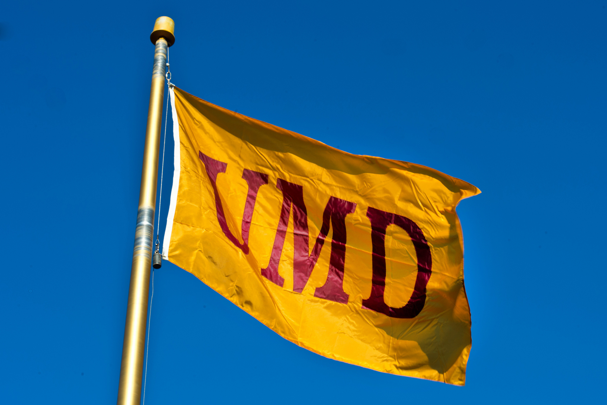 umd flag